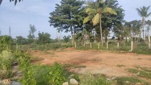  Land For Sale in Nelamangala