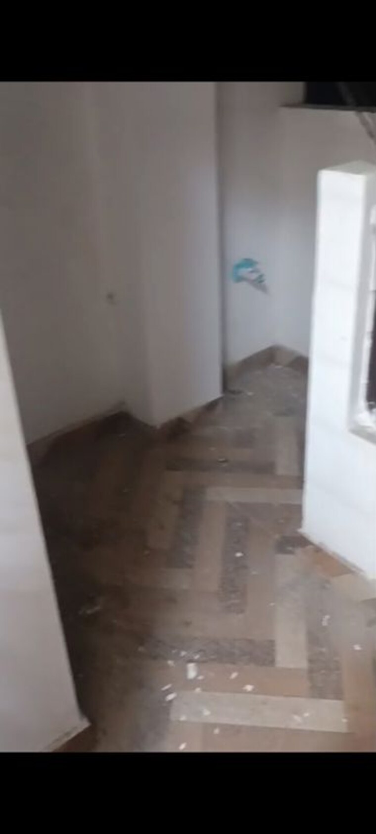 Room, soha-neal-city 2 Bedroom 121 Sq.Yd. Builder Floor In Sector 98 Faridabad 9918339