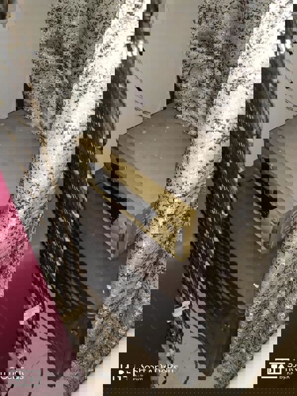 2 BHK + Study Room Apartment For Rent in Signature Global Synera