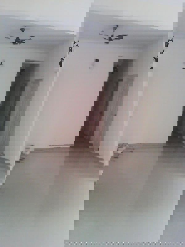 3 BHK + Pooja Room,Study Room Apartment For Rent in Rohtas Plumeria