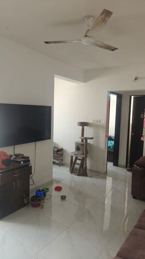 1 BHK Apartment For Rent in RR Lunkad 66 Avenue, Pimple Nilakh