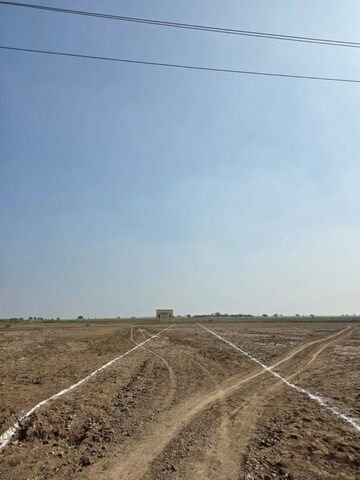 Plot Area in  Plot at Sector 98 – for Sale