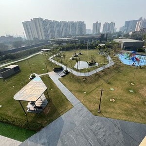 3 BHK Apartment For Sale in Tulip Yellow, Sector 69