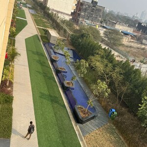 3 BHK Apartment For Sale in Tulip Yellow, Sector 69