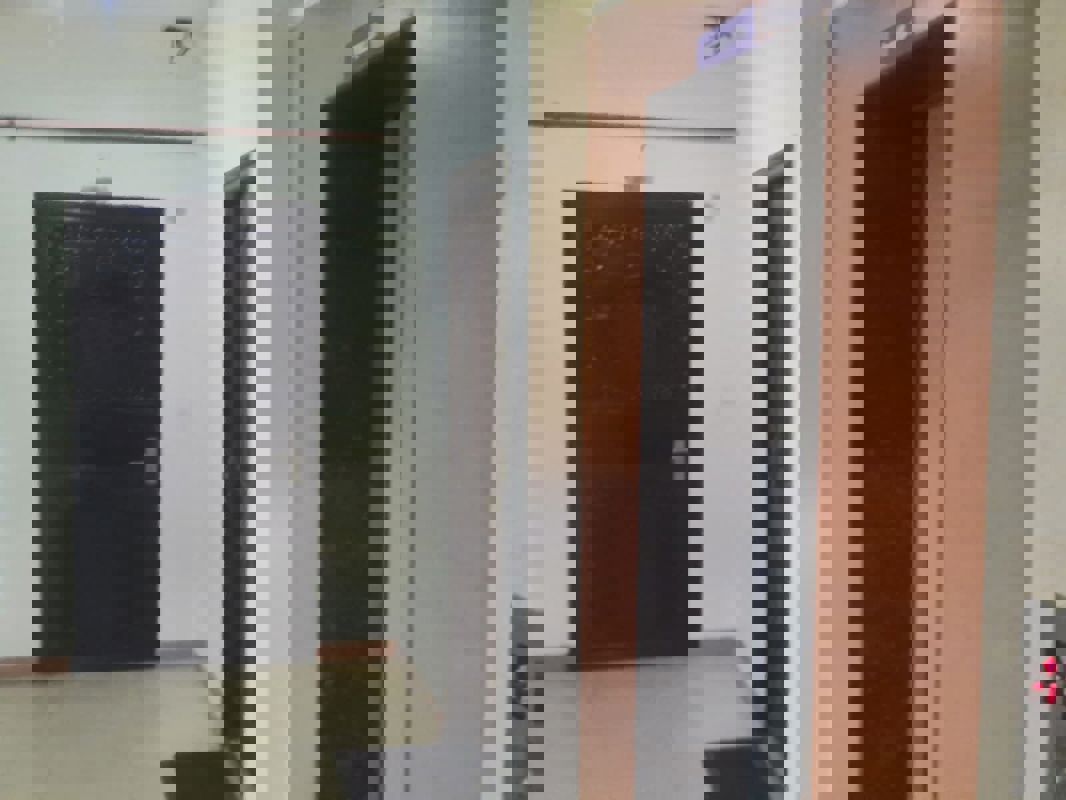 2 BHK + Pooja Room Apartment For Rent in RWA Apartments Sector 29