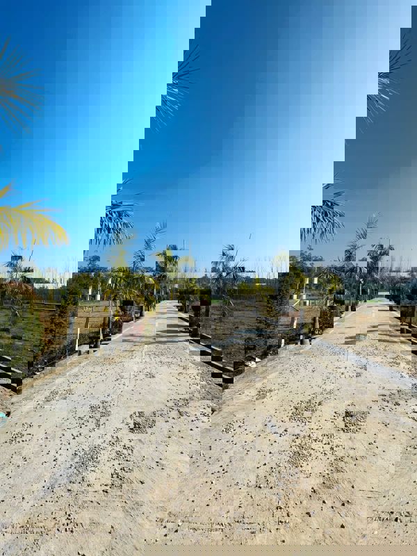 Plot For Sale in Dehradun Cantt