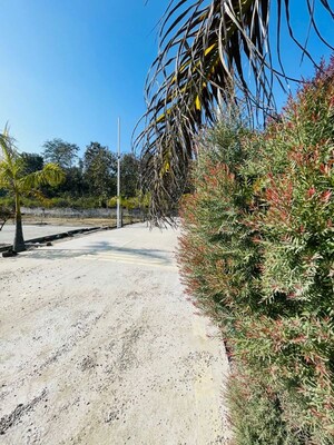  Plot – Exterior View View at Dehradun Cantt - for Sale