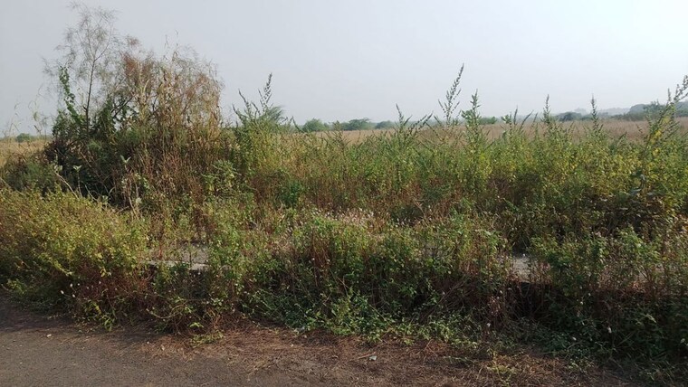 undefined, vindhane  1089 Sq.Ft. Plot In Vindhane Navi Mumbai 9919157