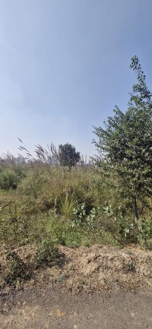 Plot Area in  Plot at SectoR-25 – for Sale