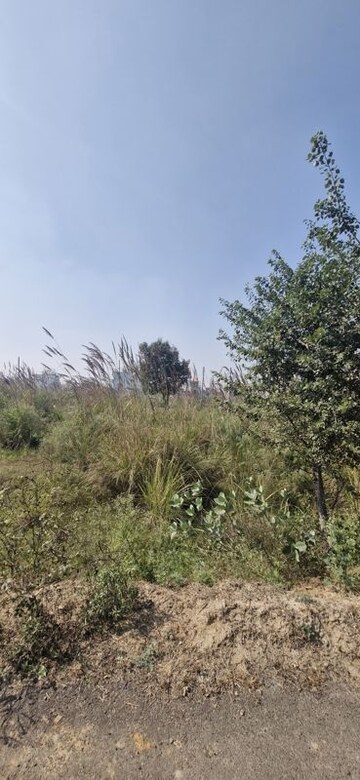 Plot Area in  Plot at SectoR-25 – for Sale