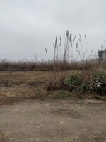 161 Sq.Yd. Plot in Sector-25