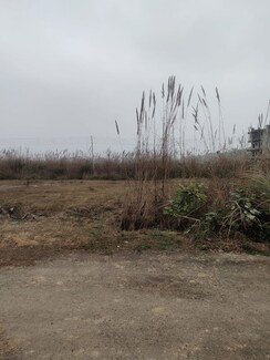 Plot For Sale in Sector-25