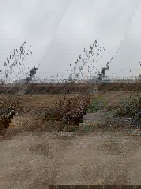 Plot For Sale in Sector-25