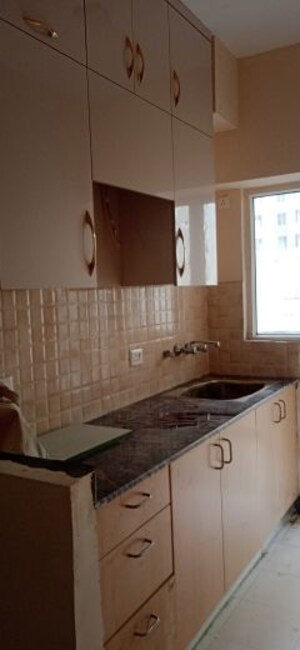 Kitchen in 1 BHK Apartment at Amrapali Dream Valley, Tech Zone 4 Greater Noida – for Rent