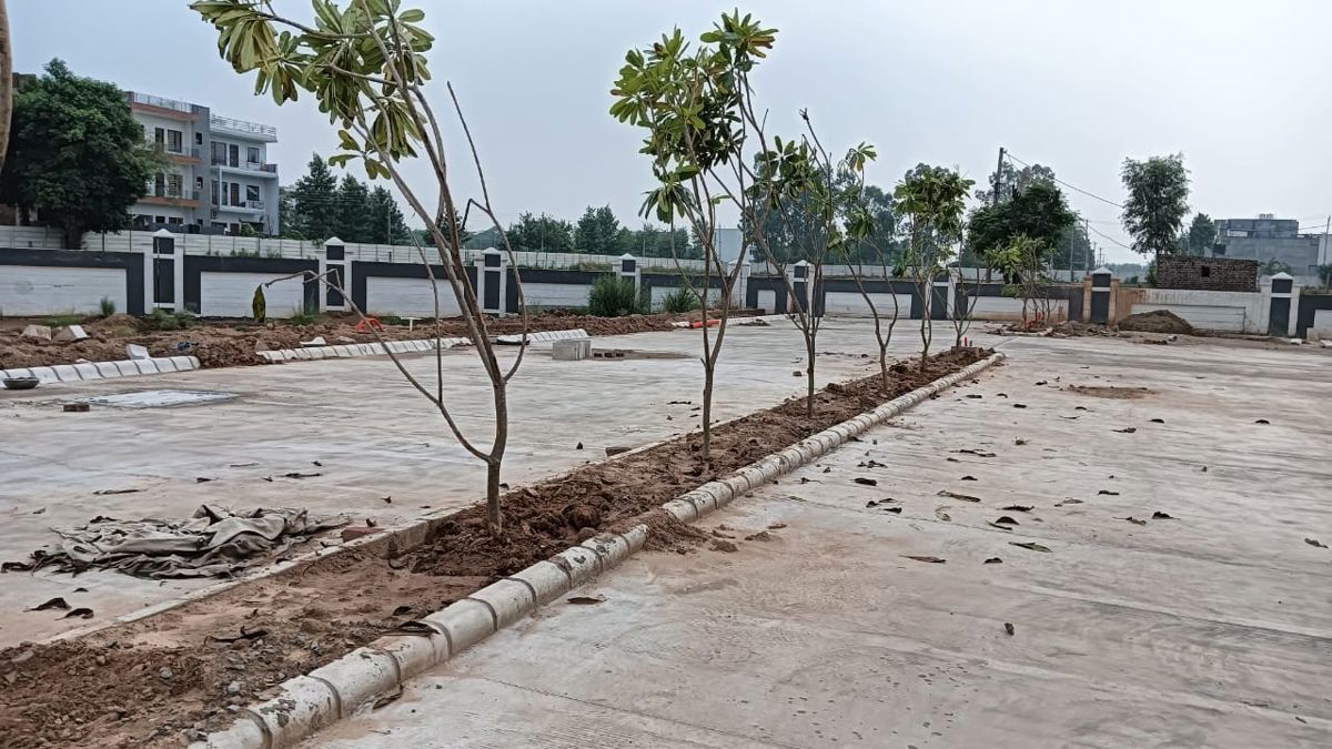 Plot For Sale in Panchkula Urban Estate