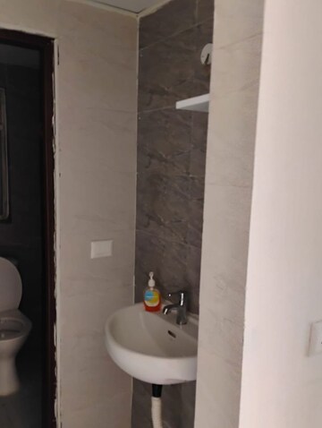 Bathroom in 1 BHK Apartment at Amrapali Dream Valley, Tech Zone 4 Greater Noida – for Rent