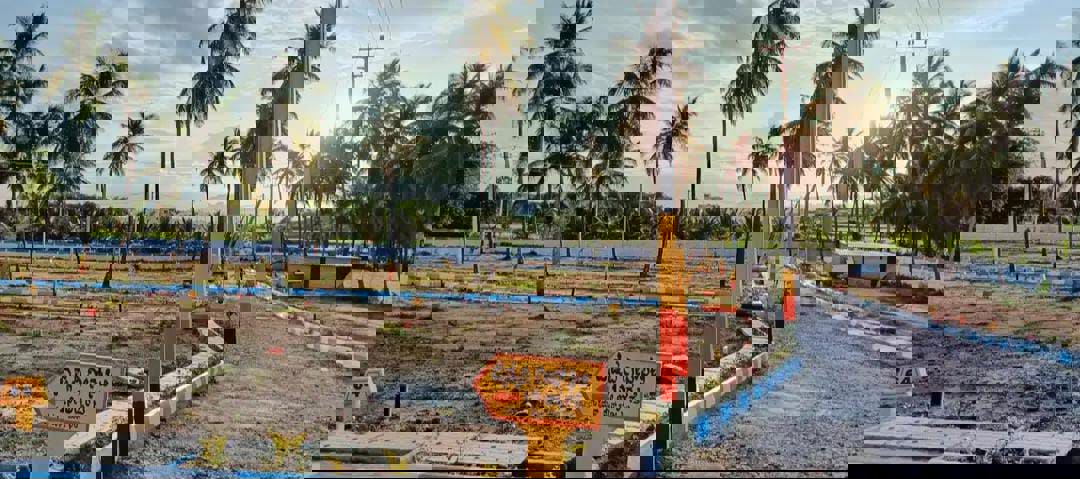 Plot For Sale in Doddadunnasandra