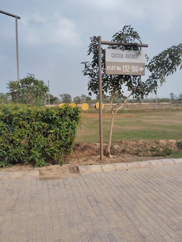 Plot Area in  Plot at Adore Smart City, Sector 97 – for Sale