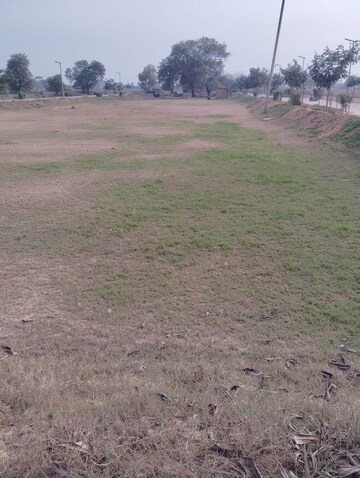 Plot Area in  Plot at Adore Smart City, Sector 97 – for Sale