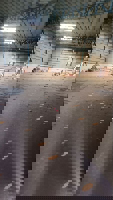 Warehouse For Rent in New Industrial Township 1