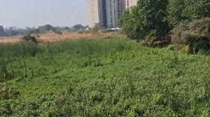  Plot For Sale in Taloja