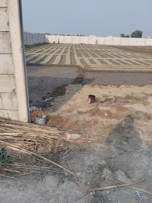 Plot Area in  Plot at Bharat Colony – for Sale