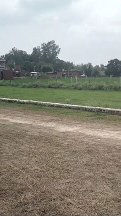 Plot For Sale in Touchwood The Woods Naubasta