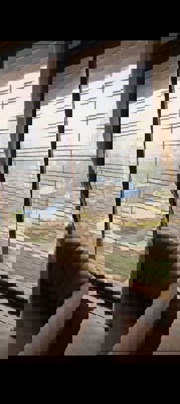 2 BHK + Store Room Apartment For Sale in Lucent Fressia Ranibello