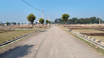 Plot Area in  Plot at Mohanlalganj – for Sale