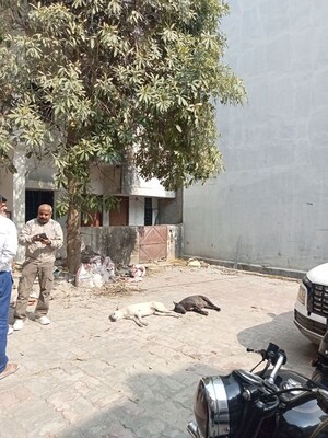 Parking in 4 BHK Independent House at Gomti Nagar – for Sale