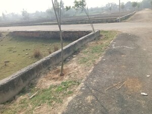 Plot Area in  Plot at Mohanlalganj – for Sale