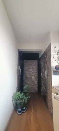3 BHK Apartment For Rent in Sai Everest Solitaire Heights