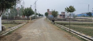 Plot Area in  Plot at Mohanlalganj – for Sale