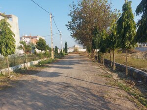  Plot For Sale in Sarojini Nagar