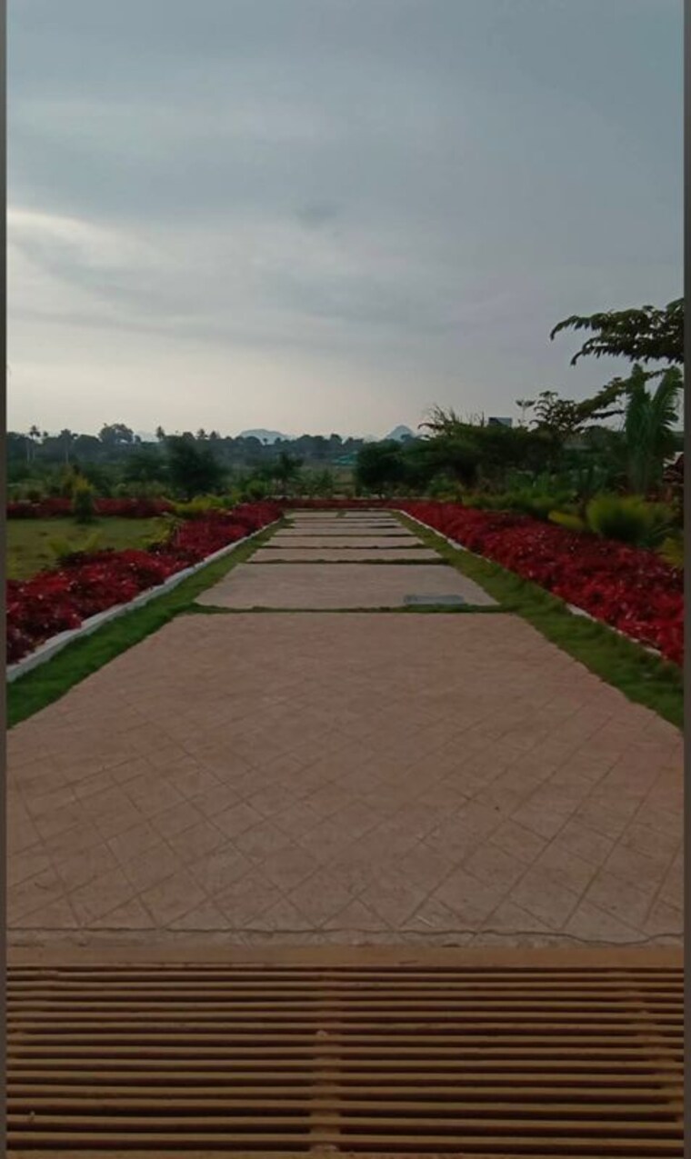 Exterior View, chikkaballapur  1200 Sq.Yd. Plot In Chikkaballapur Bangalore 9920405