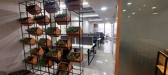 Office Space For Rent in Vasi Plaza
