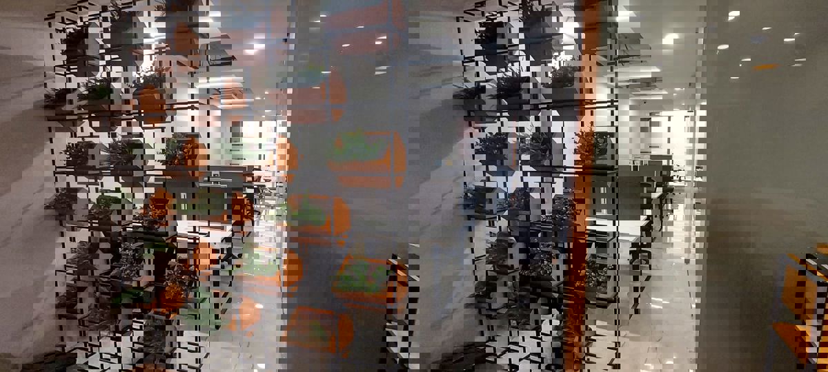 Office Space For Rent in Vasi Plaza