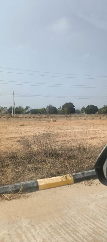 Plot For Sale in Fortune Butterfly City
