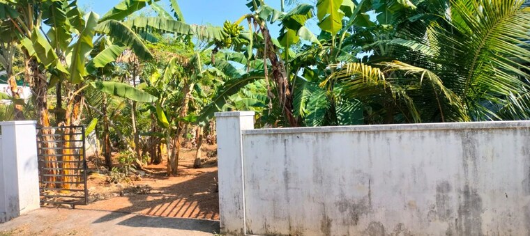 undefined, cheroor  3702 Sq.Ft. Plot In Cheroor Thrissur 9920552