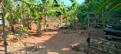 Plot For Sale in Cheroor