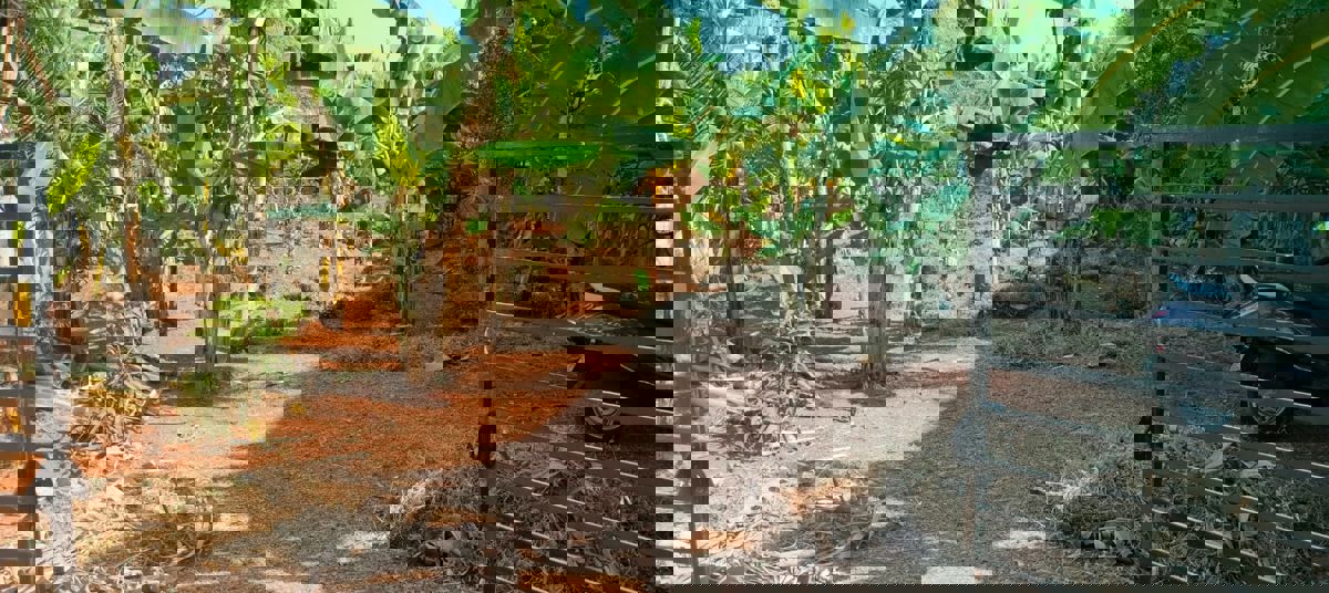 Plot For Sale in Cheroor