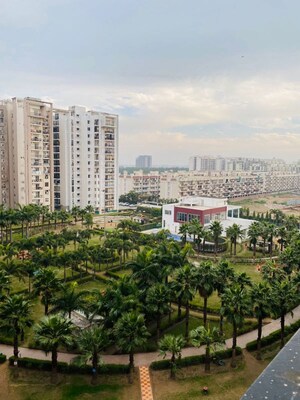 3 BHK Apartment For Rent in Motiaz Royal Citi, Ambala Highway