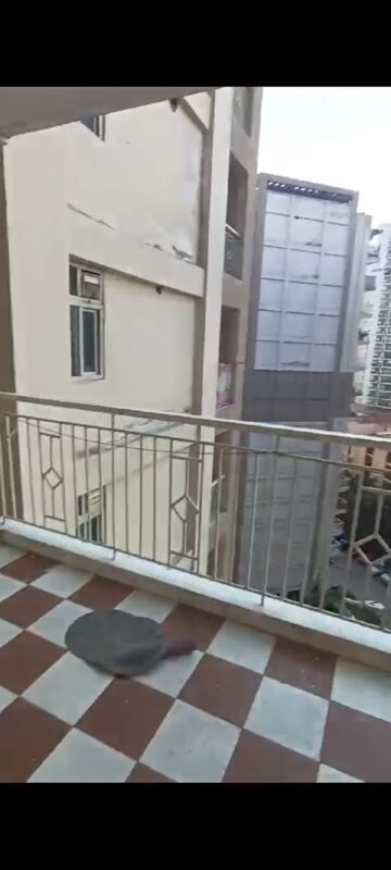 Balcony in 1 BHK Apartment at Shree Vardhman Green Court, Sector 90 – for Rent