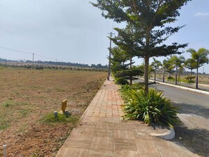  Plot For Sale in Vijay Nagar