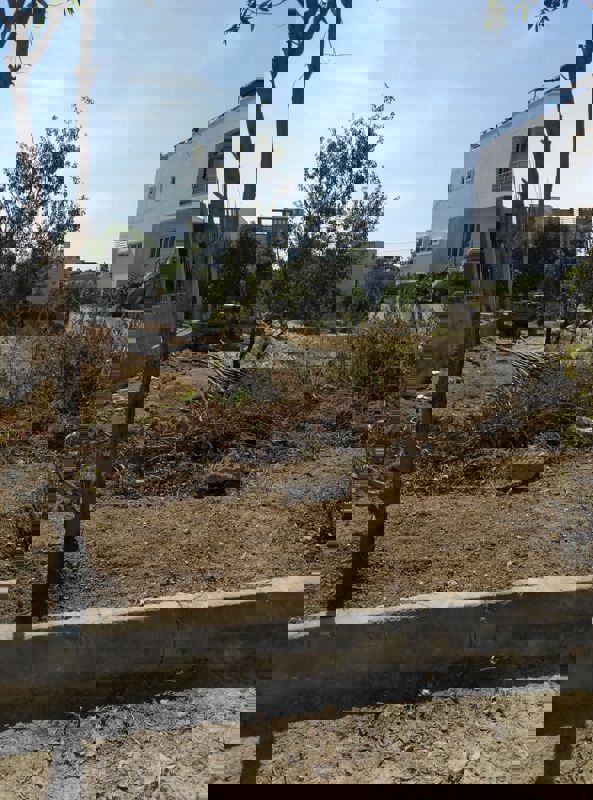 Plot For Sale in Chanda Nagar