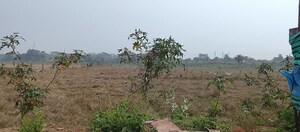 Plot Area in  Plot at Patrapada – for Sale