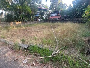 Plot Area in  Plot at Mundoor – for Sale