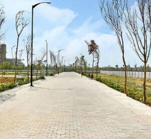  Plot For Sale in Sector 84