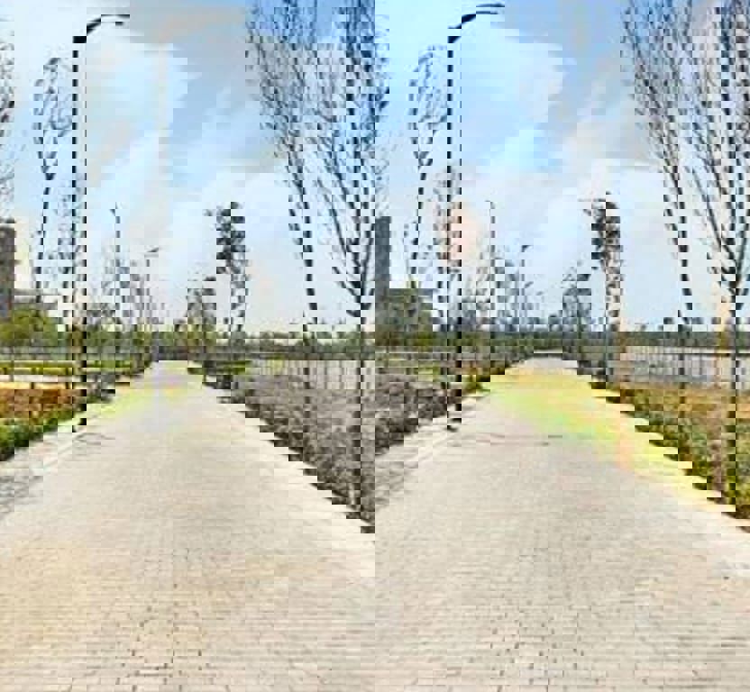 Plot For Sale in Sector 84