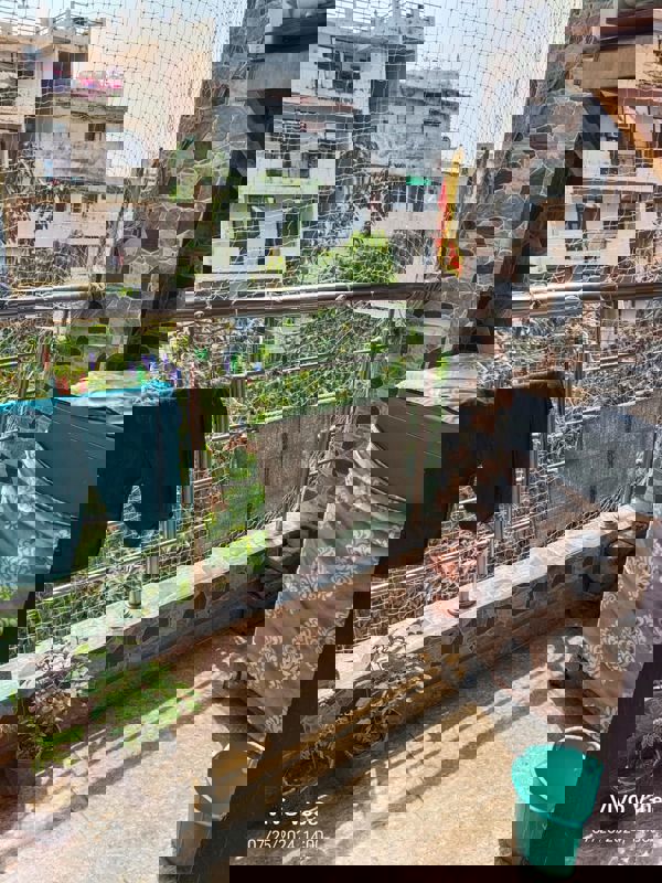 2.5 BHK Builder Floor For Sale in Mayur Vihar